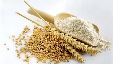 توقف روند افزایشی مصرف نان با سیاست هوشمندانه یارانه‌ای