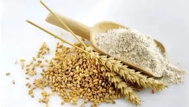 توقف روند افزایشی مصرف نان با سیاست هوشمندانه یارانه‌ای