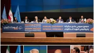 همدلی سهامداران و مدیریت پتروشیمی شهید تندگویان برای افزایش سودآوری