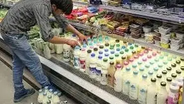شوک ارزانی به بازار لبنیات