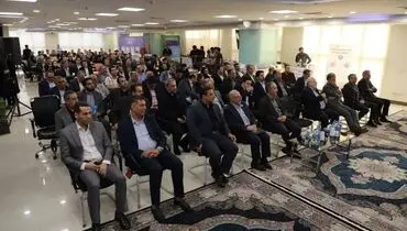تعمیق ساخت داخل با هدف تاب‌آوری صنعت