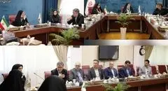 بانوی ایرانی نام محصول جدید بیمه ایران باهدف تامین آرامش زنان کشور/ ایران، پشتوانه‌ای مطمئن برای زنان ایرانی