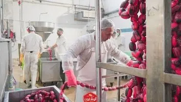 گوشتیران رکورد تولید را شکست