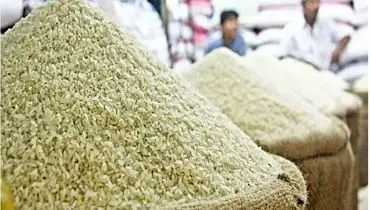 ممنوعیت ترخیص برنج در فصل برداشت لغو شد