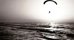 جاودانگی در «تصویر»