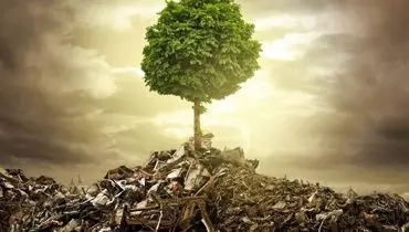 یک بمب و هزار ویرانی