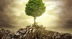 یک بمب و هزار ویرانی