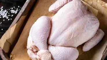 لیست قیمت مرغ امروز دوشنبه ۳ شهریور ۱۴۰۴