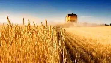 تداوم نرخ ۲۸۵۰۰ تومانی برای واردات گندم