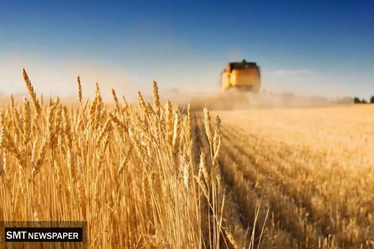 تداوم نرخ ۲۸۵۰۰ تومانی برای واردات گندم