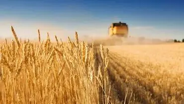 تداوم نرخ ۲۸۵۰۰ تومانی برای واردات گندم