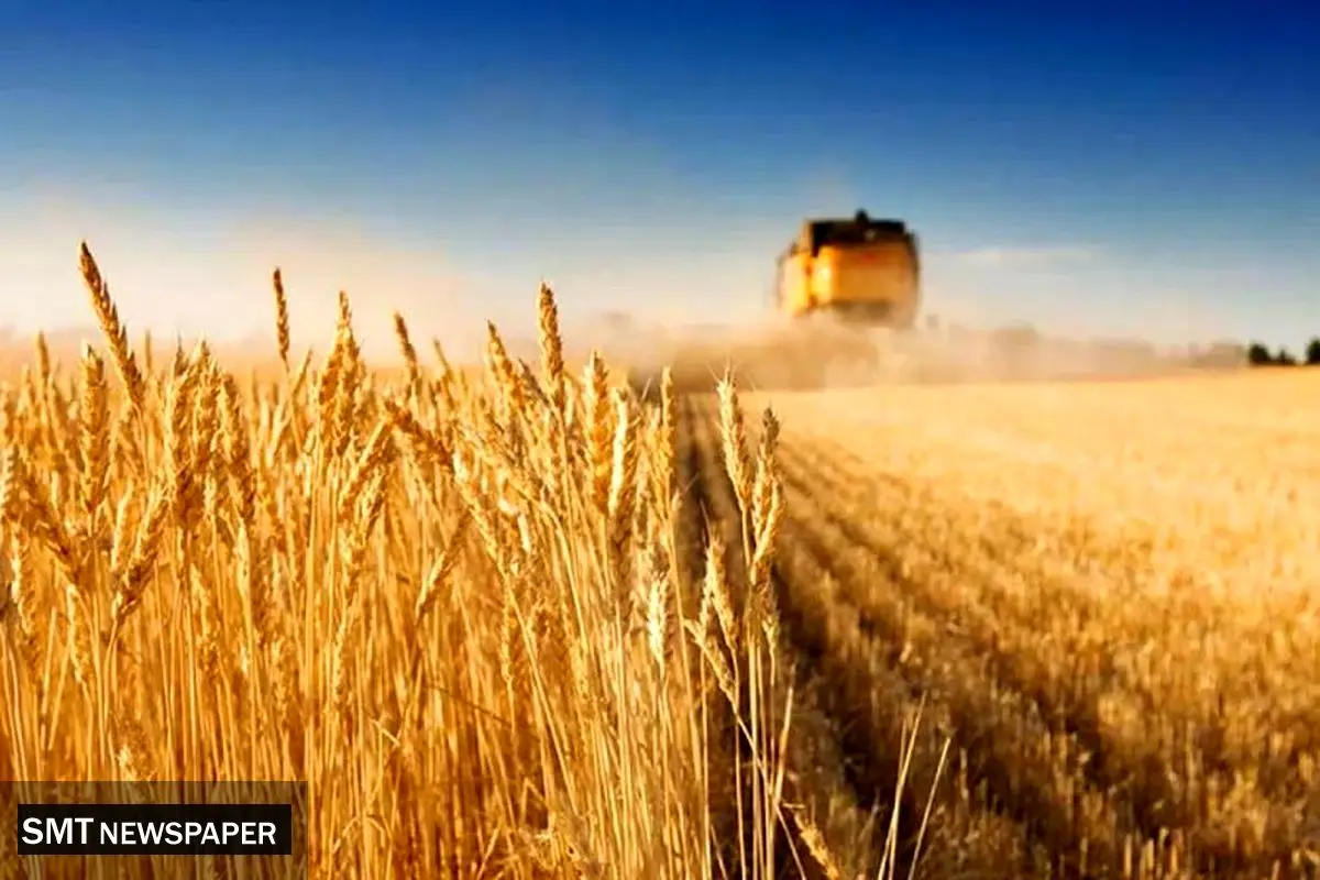 تداوم نرخ ۲۸۵۰۰ تومانی برای واردات گندم