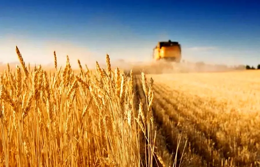 تداوم نرخ ۲۸۵۰۰ تومانی برای واردات گندم