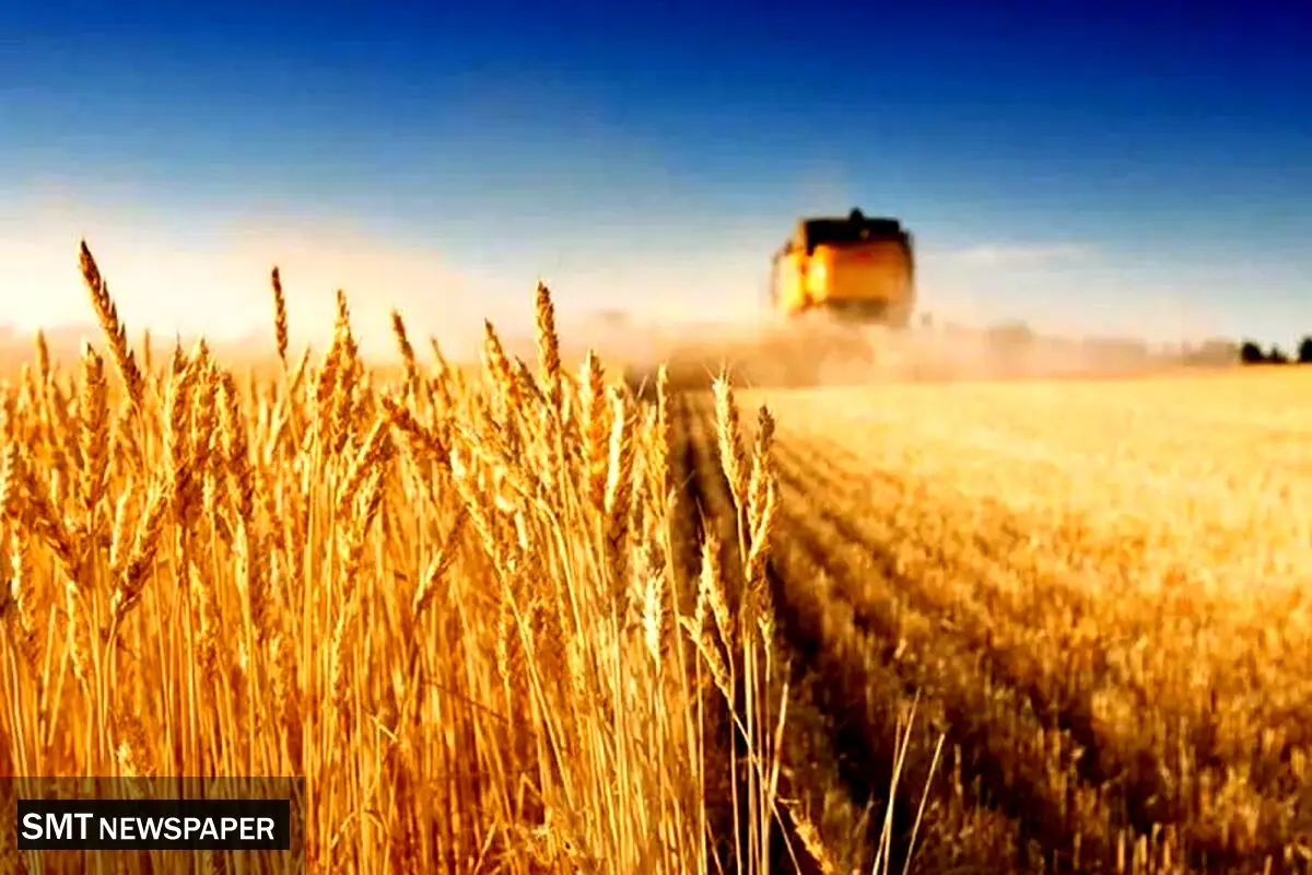تداوم نرخ ۲۸۵۰۰ تومانی برای واردات گندم