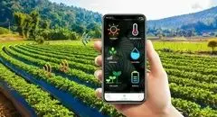 جایگاه آینده کشاورزی در ذهن حاصلخیز است