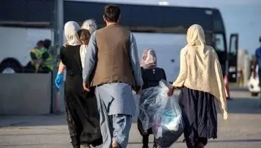 اقدام گسترده در یزد؛ هزاران تبعه غیرمجاز از کشور اخراج شدند