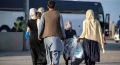 اقدام گسترده در یزد؛ هزاران تبعه غیرمجاز از کشور اخراج شدند