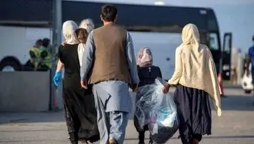 اقدام گسترده در یزد؛ هزاران تبعه غیرمجاز از کشور اخراج شدند