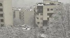 برف و کولاک در راه تهران