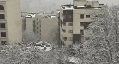 هواشناسی کشور امروز شنبه 4 دی ماه