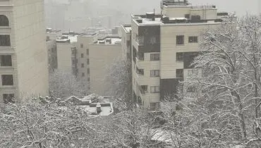 برف و کولاک در راه تهران
