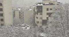 برف و کولاک در راه تهران