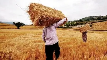 انگشت اتهام به‌سمت سوءمدیریت است