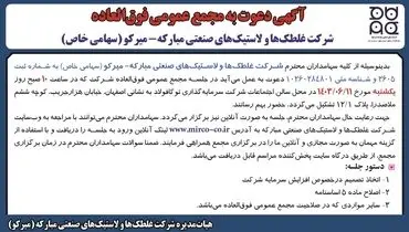 آگهی دعوت به مجمع عمومی فوق العاده شرکت غلطک ها و لاستیک های صنعتی مبارکه - میرکو