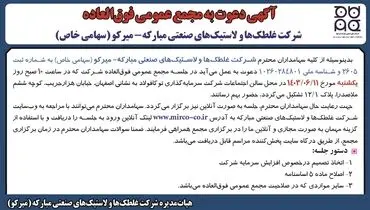 آگهی دعوت به مجمع عمومی فوق العاده شرکت غلطک ها و لاستیک های صنعتی مبارکه - میرکو