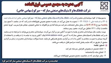 آگهی دعوت به مجمع عمومی فوق العاده شرکت غلطک ها و لاستیک های صنعتی مبارکه - میرکو