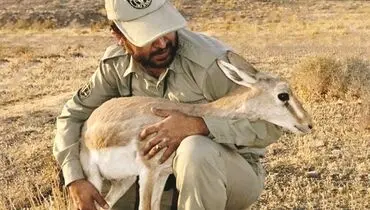 کمبود محیط‌بان برای حفاظت ۳۰ میلیون هکتار
