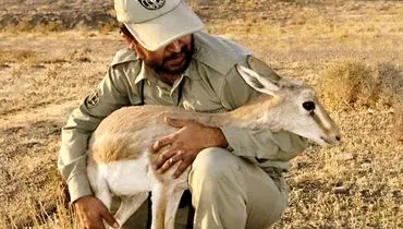 کمبود محیط‌بان برای حفاظت ۳۰ میلیون هکتار