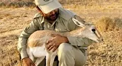 کمبود محیطبان برای حفاظت ۳۰ میلیون هکتار