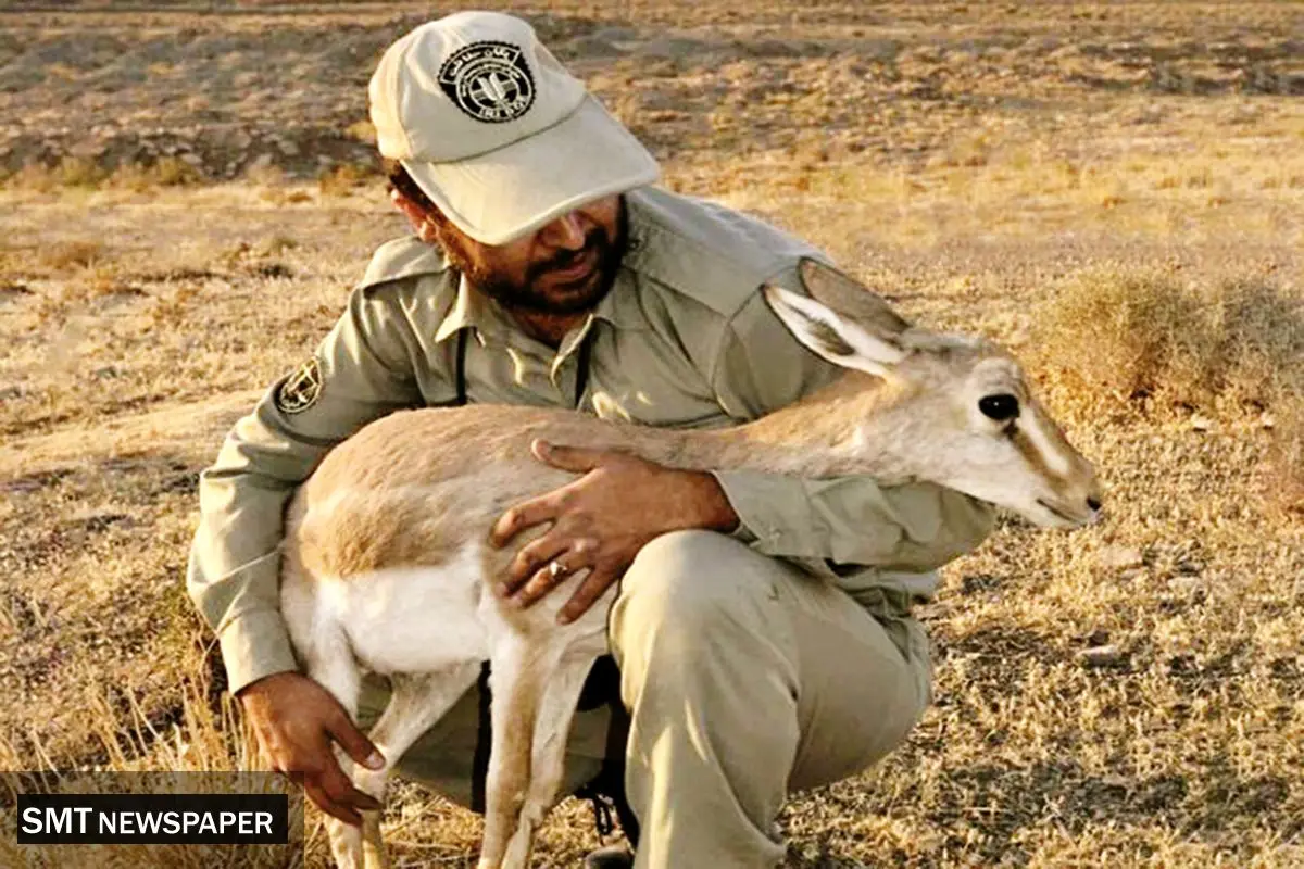 کمبود محیطبان برای حفاظت ۳۰ میلیون هکتار