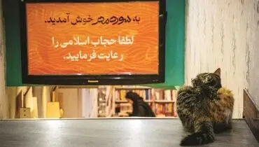دشواری‌های طنز و فکاهه 