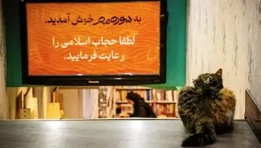 دشواری‌های طنز و فکاهه 