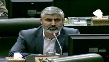 بیگدلی: قیمت مرغ از کنترل خارج شده!