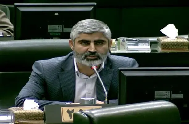 بیگدلی: قیمت مرغ از کنترل خارج شده!