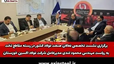 هم‌اندیشی فعالان صنعت فولاد کشور به ریاست مهندس محمود لندی