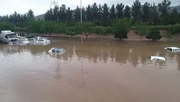  ۷ جانباخته و بیش از ۲۳ هزار نفر امدادرسانی در سیلاب جنوب کشور