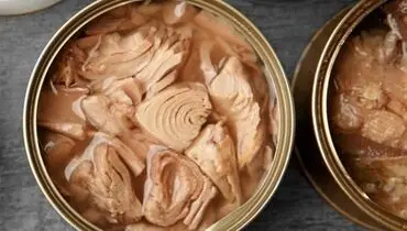 افزایش قیمت کنسرو ماهی 