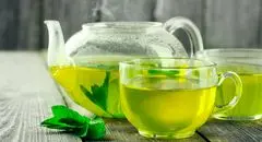 چای سبز، سپر مغز در برابر آلزایمر