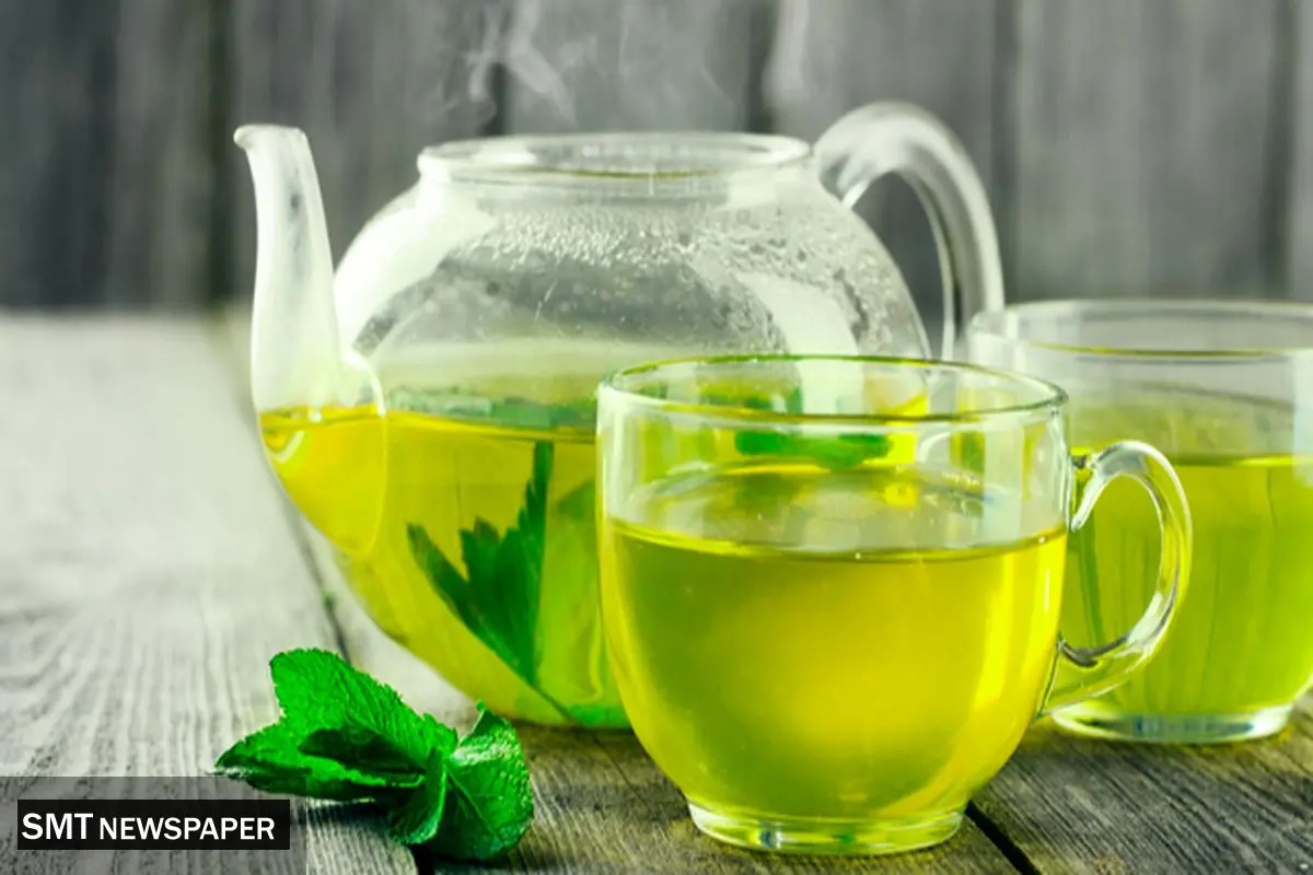 چای سبز، سپر مغز در برابر آلزایمر