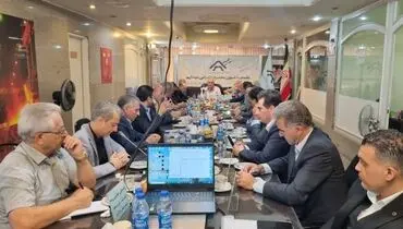 چراغ سبز به واردات باوجود زیرساخت تولید
