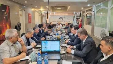 چراغ سبز به واردات باوجود زیرساخت تولید
