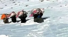 سردار گودرزی: کولبری هم معضل معیشتی است، هم تهدید امنیتی