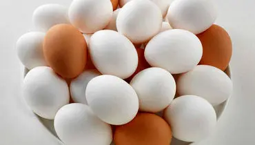 قیمت تخم‌مرغ امروز شنبه ۲۴ آبان ۱۴۰۴ + جدول