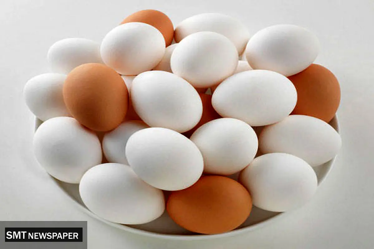 قیمت تخم‌مرغ امروز شنبه ۲۴ آبان ۱۴۰۴ + جدول