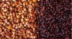 ایران سالانه به‌طور متوسط ۱.۳ میلیون تن خرما تولید می‌کند