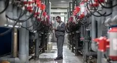 تولید بی‌«انرژی» برای بقا می‌جنگد 